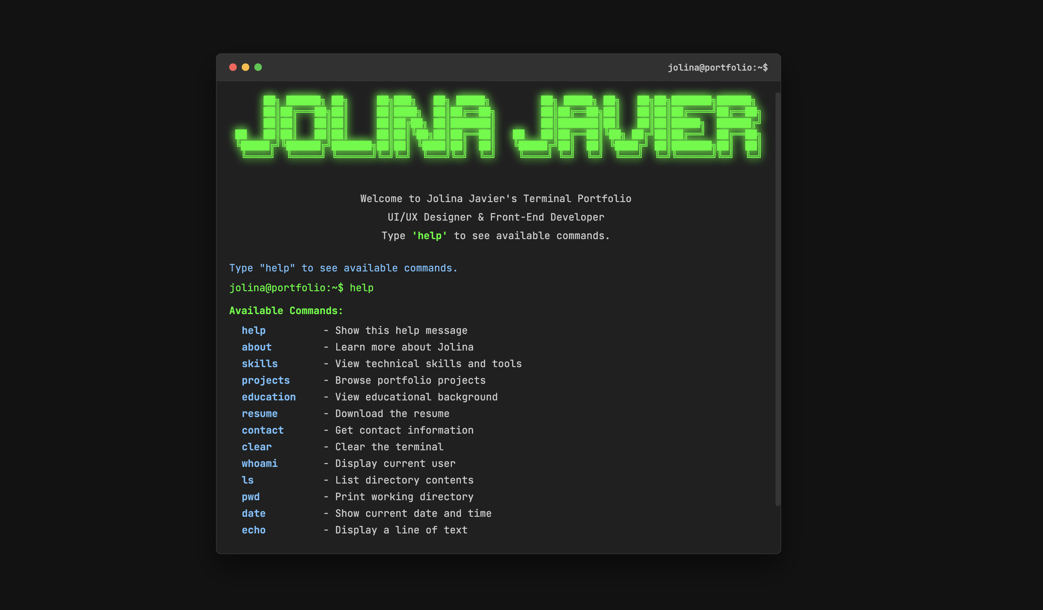 Terminal Portfolio project preview